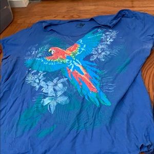 Blue shirt with parrot
